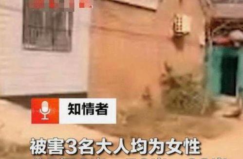 匿名爆料灭门惨案视频播放,惊悚灭门惨案视频曝光,真相令人胆寒 第3张 匿名爆料灭门惨案视频播放,惊悚灭门惨案视频曝光,真相令人胆寒 第3张